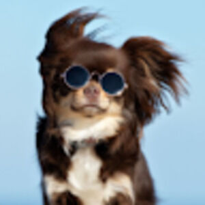 Meet your Posher, Francisca